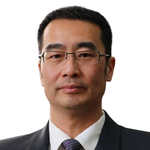 赵新